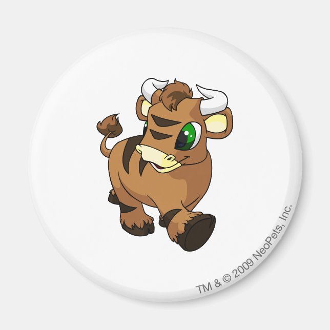 Kau Brown Magnet (Framsidan)
