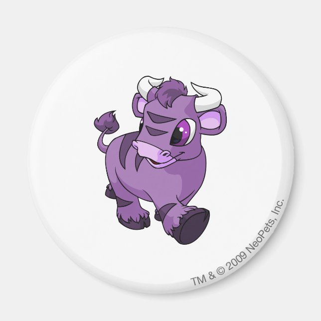 Kau Lila Magnet (Framsidan)