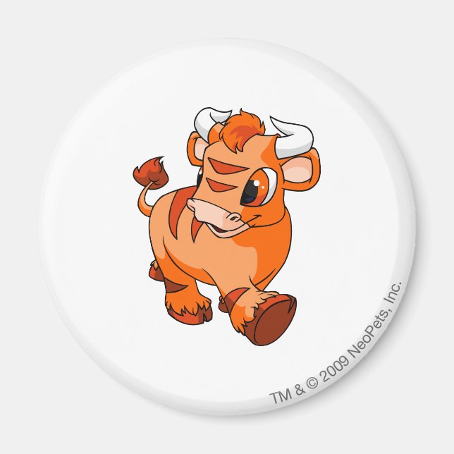 Kau Orange Magnet (Framsidan)