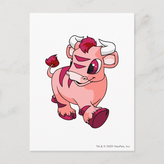 Kau Rosa Vykort (Framsida)