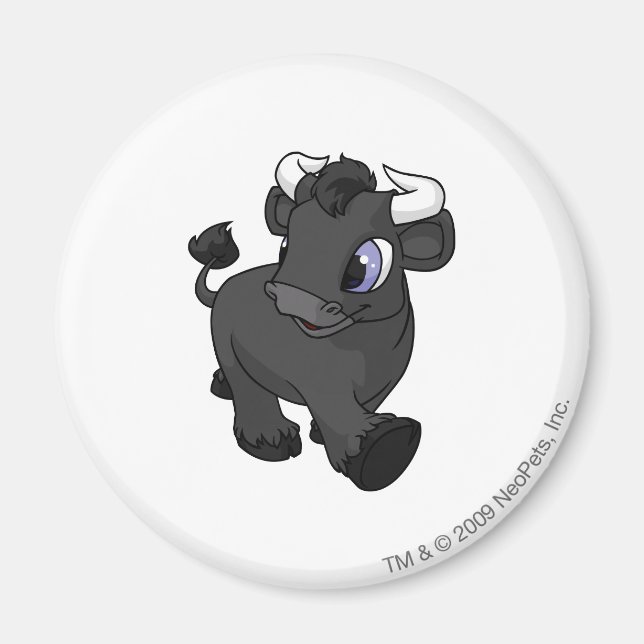 Kau Shadow Magnet (Framsidan)