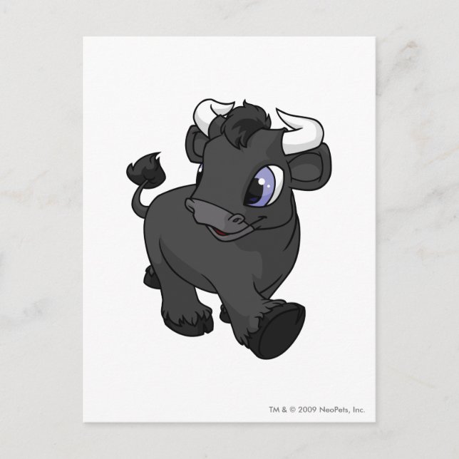 Kau Shadow Vykort (Framsida)