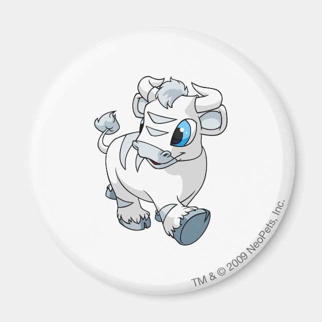 Kau White Magnet (Framsidan)