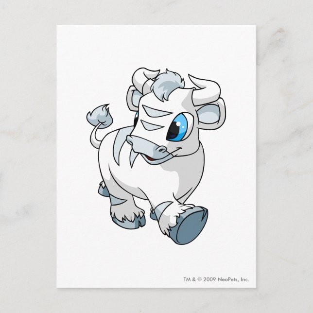 Kau White Vykort (Framsida)