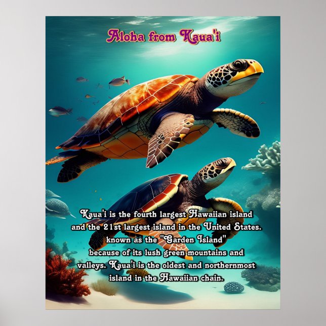 Kauai Aloha Poster (Framsidan)