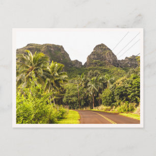 Kauai Bergs Tropiska Djungelväg Hawaii Foto Vykort
