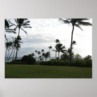 Kauai Handflatan Poster