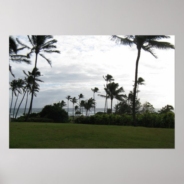Kauai Handflatan Poster (Framsidan)
