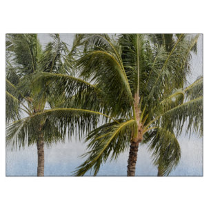 Kauai Handflatan träd