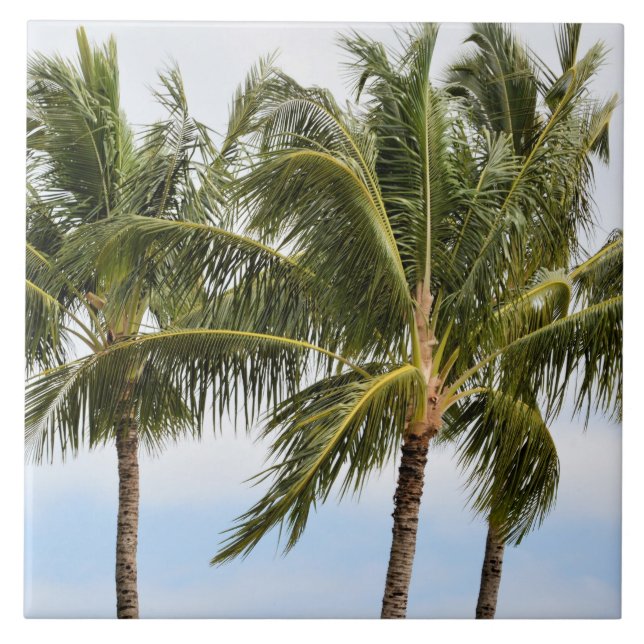 Kauai Handflatan träd Kakelplatta (Framsidan)