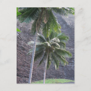 Kauai Handflatan Träd vykort