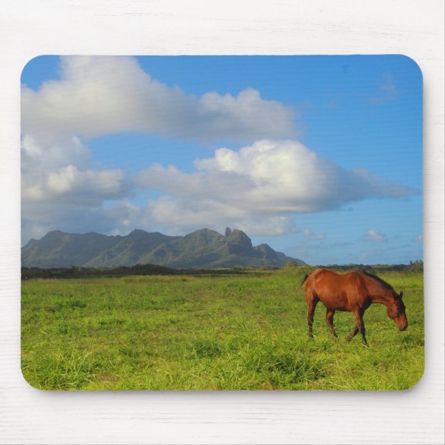 Kauai hästutsikt musmatta (Framsidan)