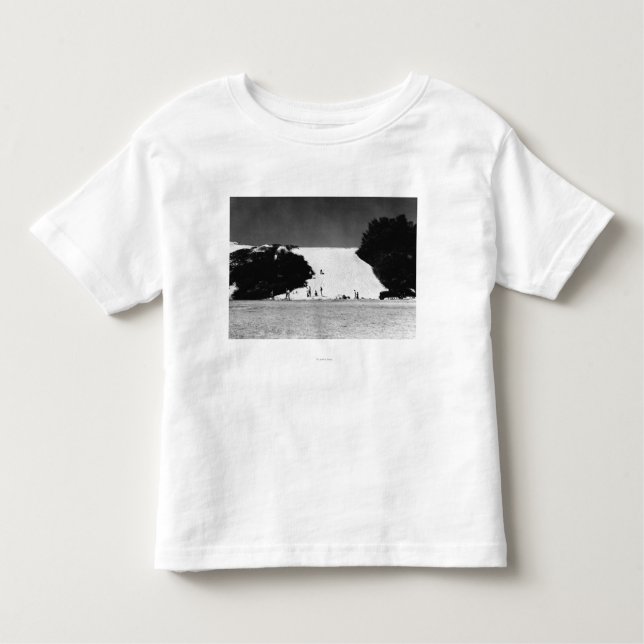 Kauai Hawaii - beskåda av att skälla Sands T-shirt (Framsida)