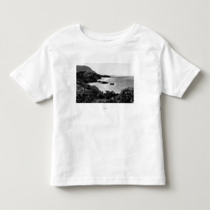 Kauai Hawaii - beskåda av den Lumahai fjärden & Tee