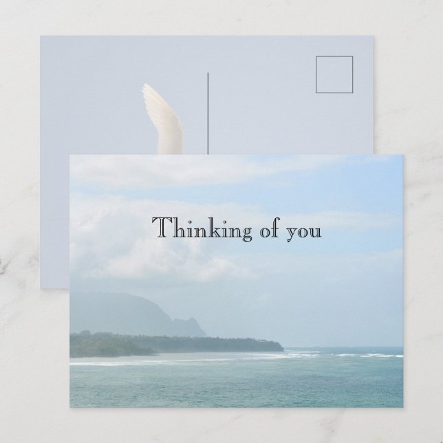 Kauai Hawaii Kilauea Ocean Red Tails Tropicbird Vykort (Fram/baksida)