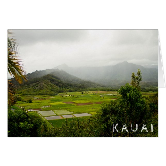 Kauai, Hawaii ・ Lush Fält ・ Landskapsscenen Hälsningskort (Framsidan Horizontal)