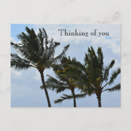 Kauai Hawaii Palmer Vykort