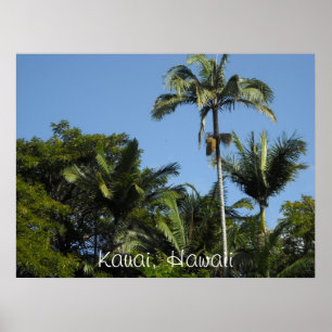 Kauai, Hawaii Poster
