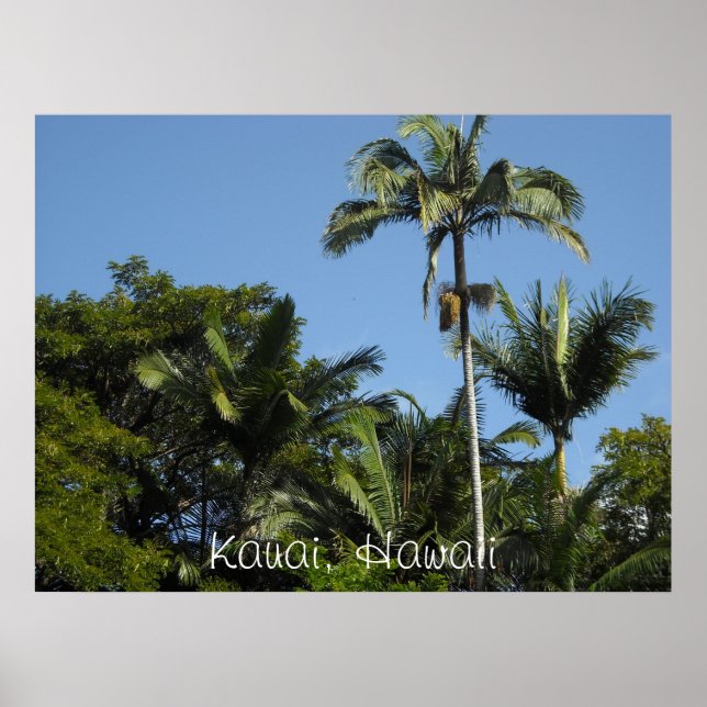 Kauai, Hawaii Poster (Framsidan)