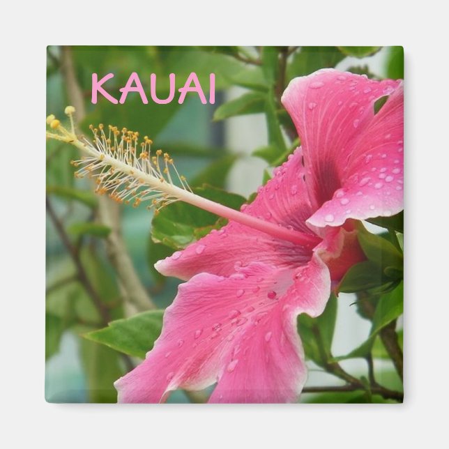 Kauai Hawaiian Tropical Flowers Hibiscus Magnet (Framsidan)