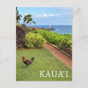 Kauai Ninini Point Lighthouse Hawaii Vykort