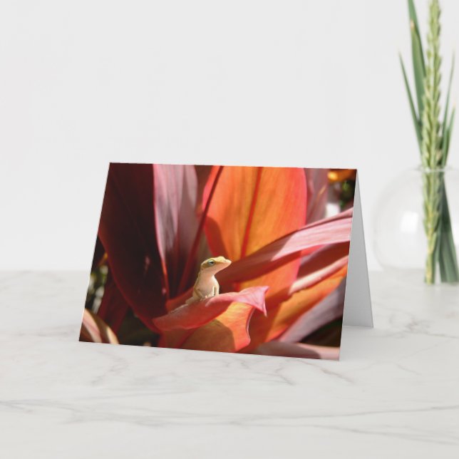 Kauai ödla kort (Framsida)