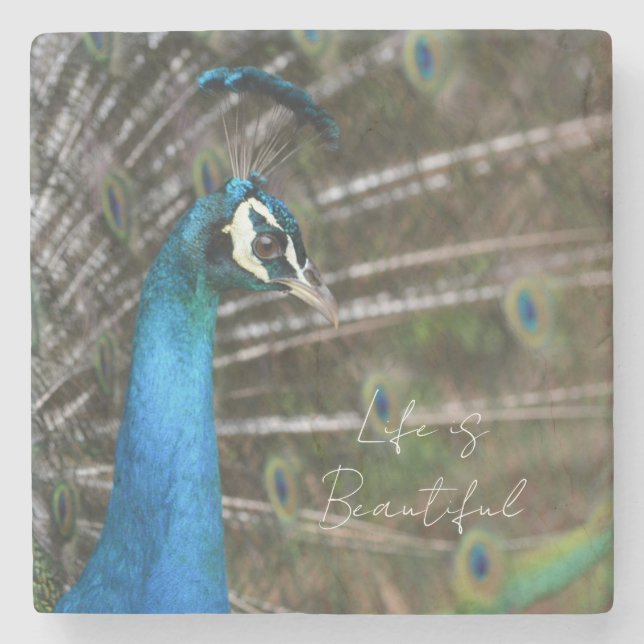 Kauai påfågel  stenunderlägg (Framsidan)