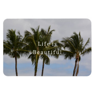 Kauai Palmer (foto tagen av mig) Magnet