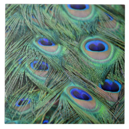 Kauai Peacock Feathers Kakelplatta