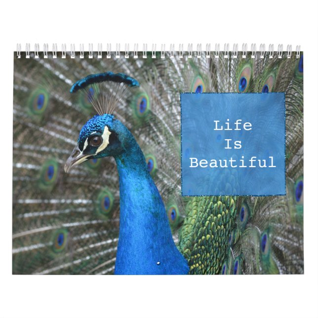 Kauai Peacock Feathers Kalender (Omslag)
