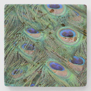 Kauai Peacock Feathers Stenunderlägg