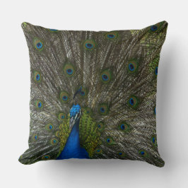Kauai Peacock Kudde