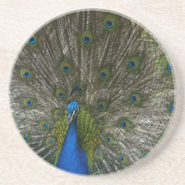 Kauai Peacock Underlägg