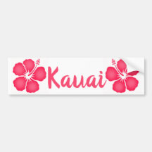 Kauai Rosa Hibiscus