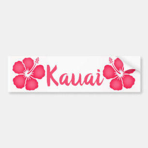 Kauai Rosa Hibiscus Bildekal