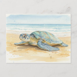 Kauai  Sea Turtles Resting at the Beach Vykort