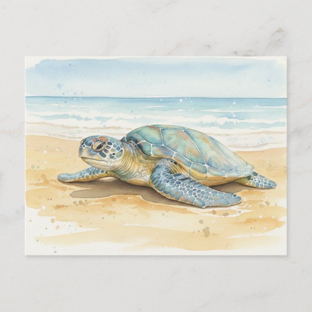 Kauai  Sea Turtles Resting at the Beach Vykort (Framsida)