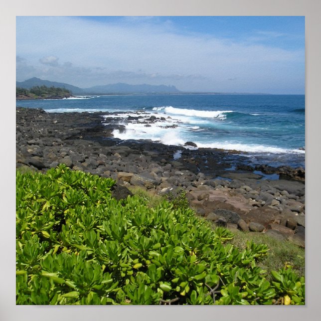 Kauai succulents 2 poster (Framsidan)