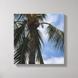Kauai Tropisk Palmträd Canvastryck