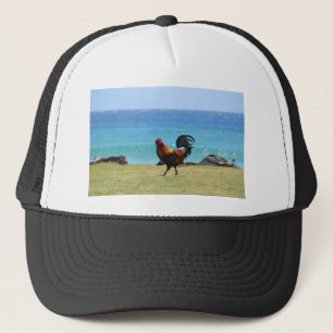 Kauai tupp keps