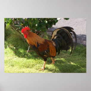Kauai Tupp Poster