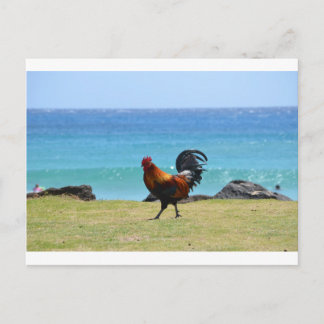 Kauai tupp vykort