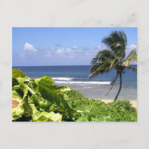 Kauai Vykort