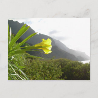 Kauai-vykort Vykort