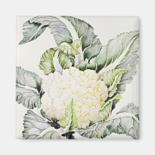 Kaulirolestudien 1993 magnet (Framsidan)