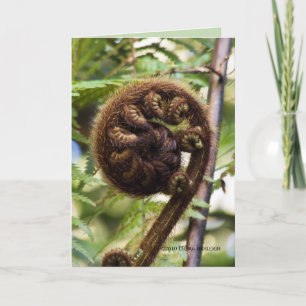 Kauri Forest Fern Kort