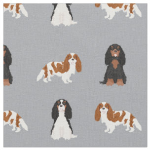 kavaj-spaniel-hundar-grått tyg