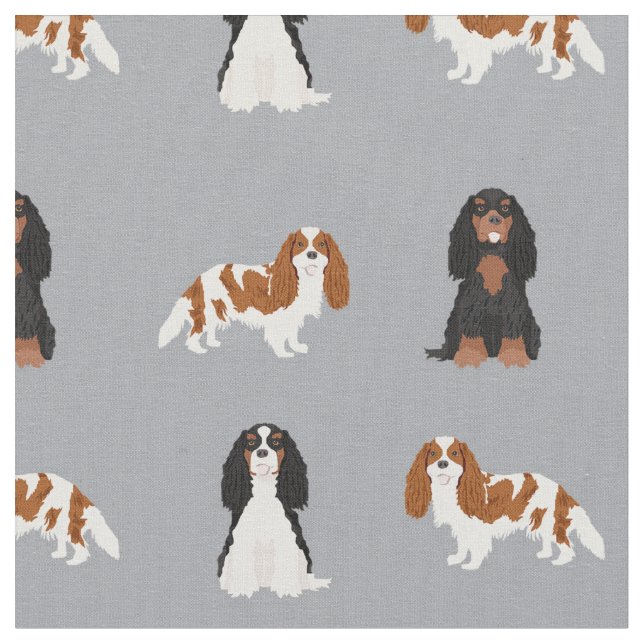 kavaj-spaniel-hundar-grått tyg (Närbild)