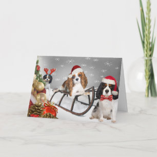 Kavalier har ett yappy-julkort helgkort