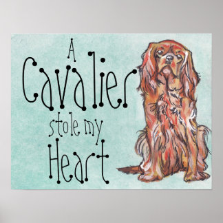 Kavalier kung charles spaniel ruby art poster